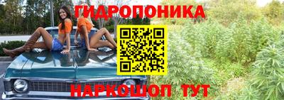индика Янаул