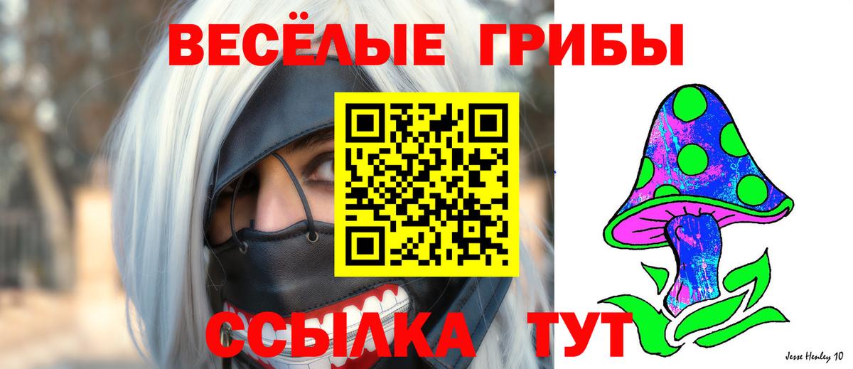 Галлюциногенные грибы прущие грибы Белореченск